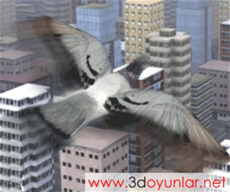 online şehir güvercinleri 2 oyunu oyna